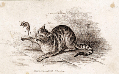 [A Cat Tormenting a Mouse]