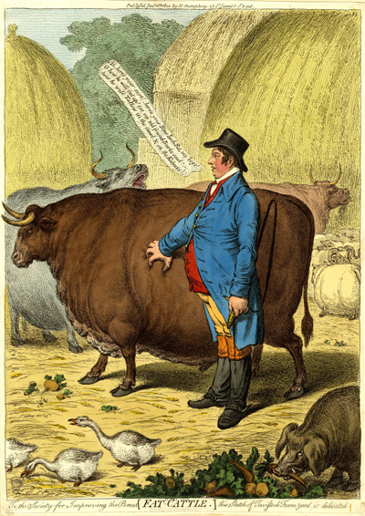 Fat Cattle