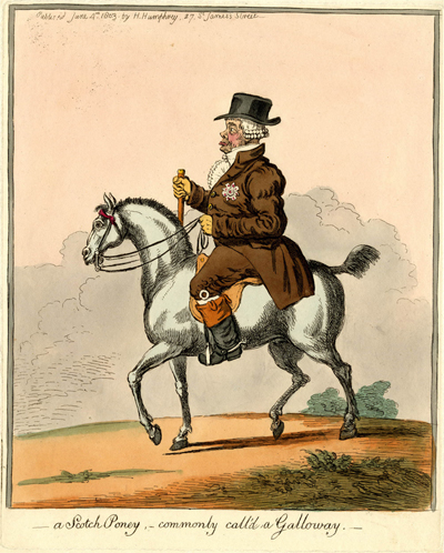 A Scotch Poney, Commonly Call'd a Galloway